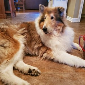 Meet your Posher, Lynn